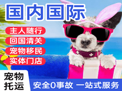 丹霞航空托运国际宠物托运 【国